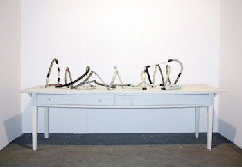 Maria Eitle-Vozar Installation f�r KUNSTSZENE Z�RICH 2007/8